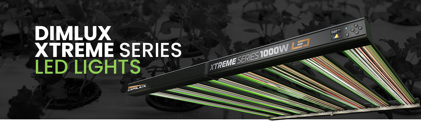 Dimlux Xtreme Series